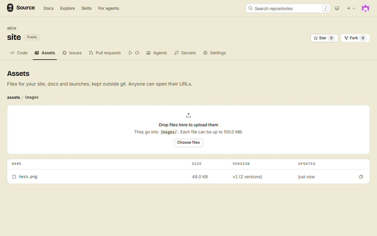 The Assets tab of alice/site, open at the images folder, with the upload area and hero.png at version 1 of 2