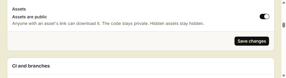 The Assets setting of a private repository, with Assets are public turned on, and the Save changes button